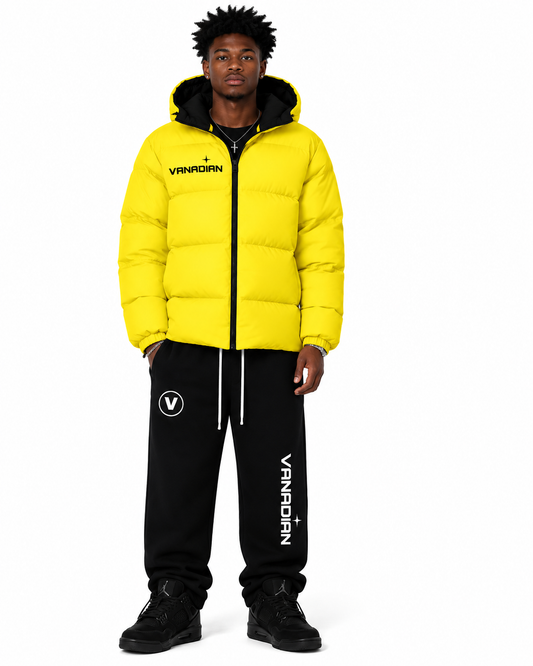 VNDN Voltage Puffer