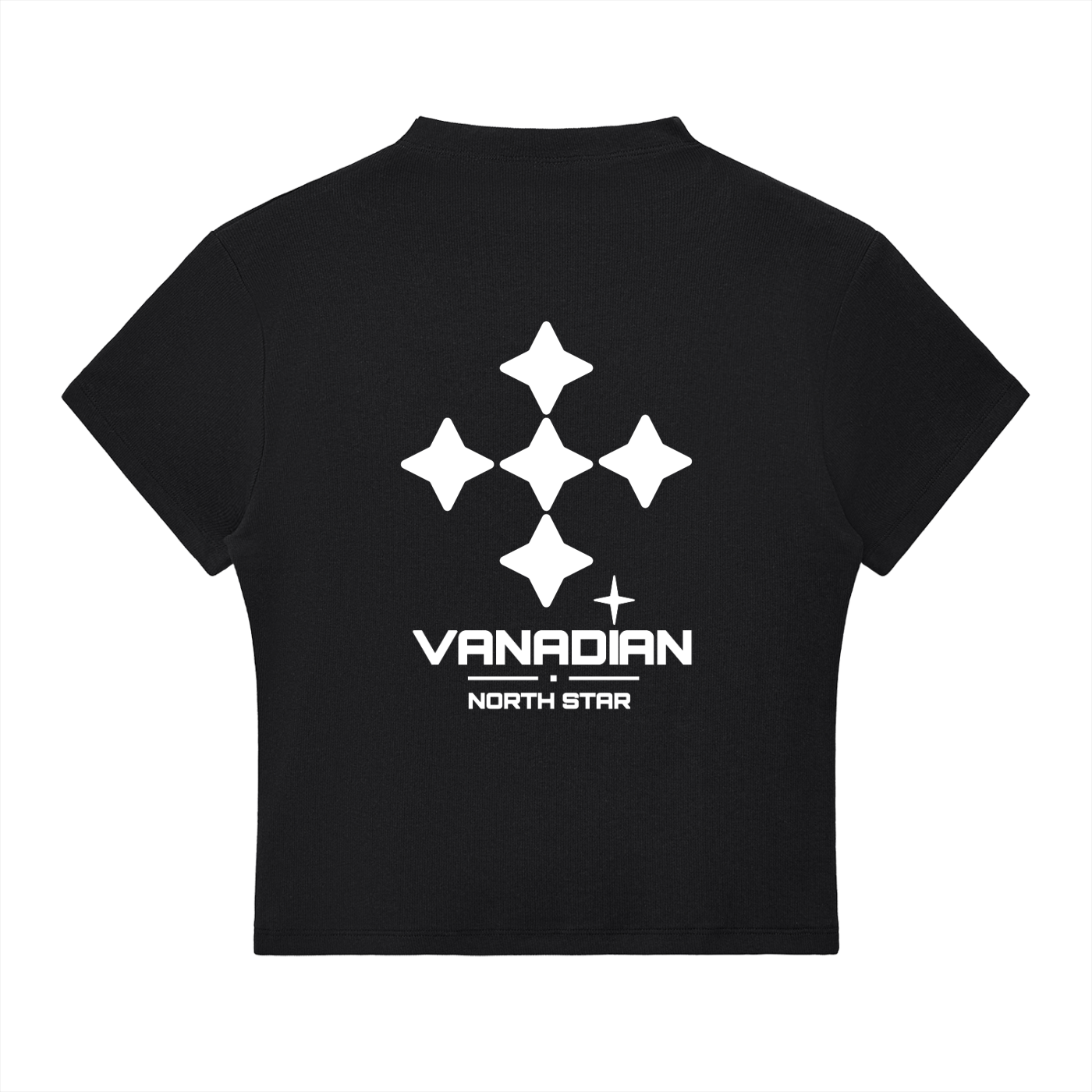 Vanadian Slim Fit Neck T-Shirt