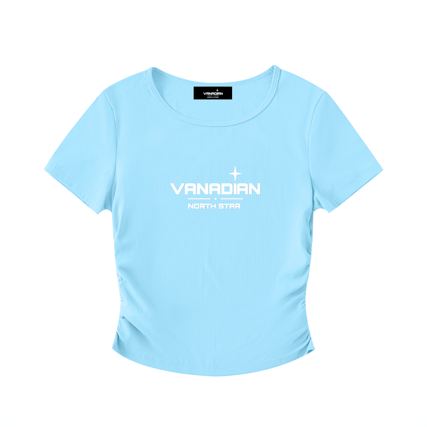 Vani Bodycon Crop Top