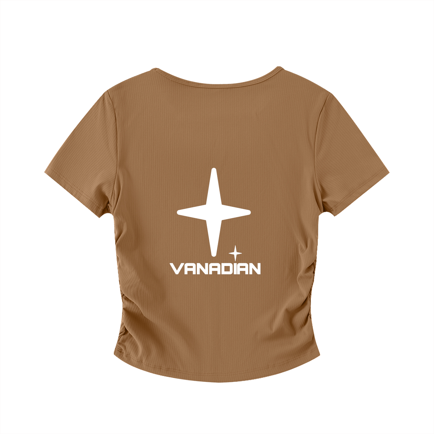 Vani Bodycon Crop Top