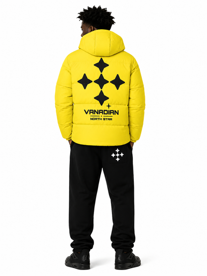 VNDN Voltage Puffer