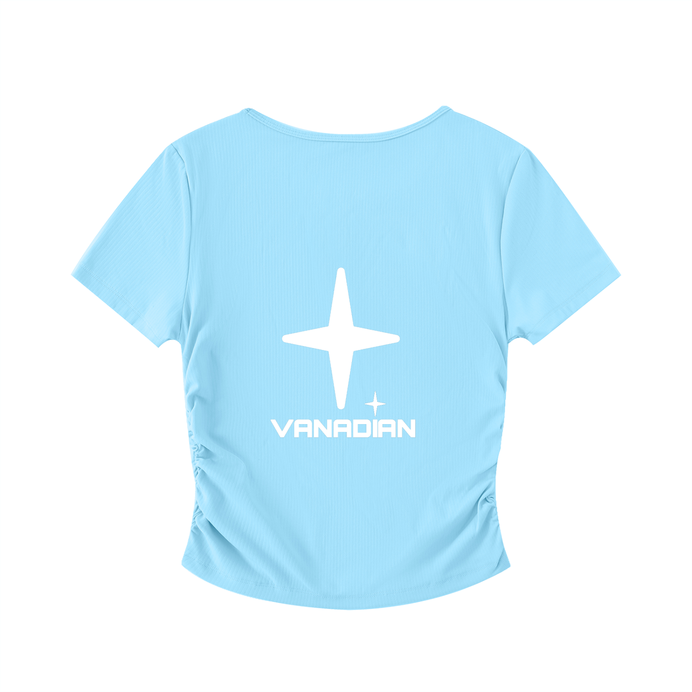 Vani Bodycon Crop Top