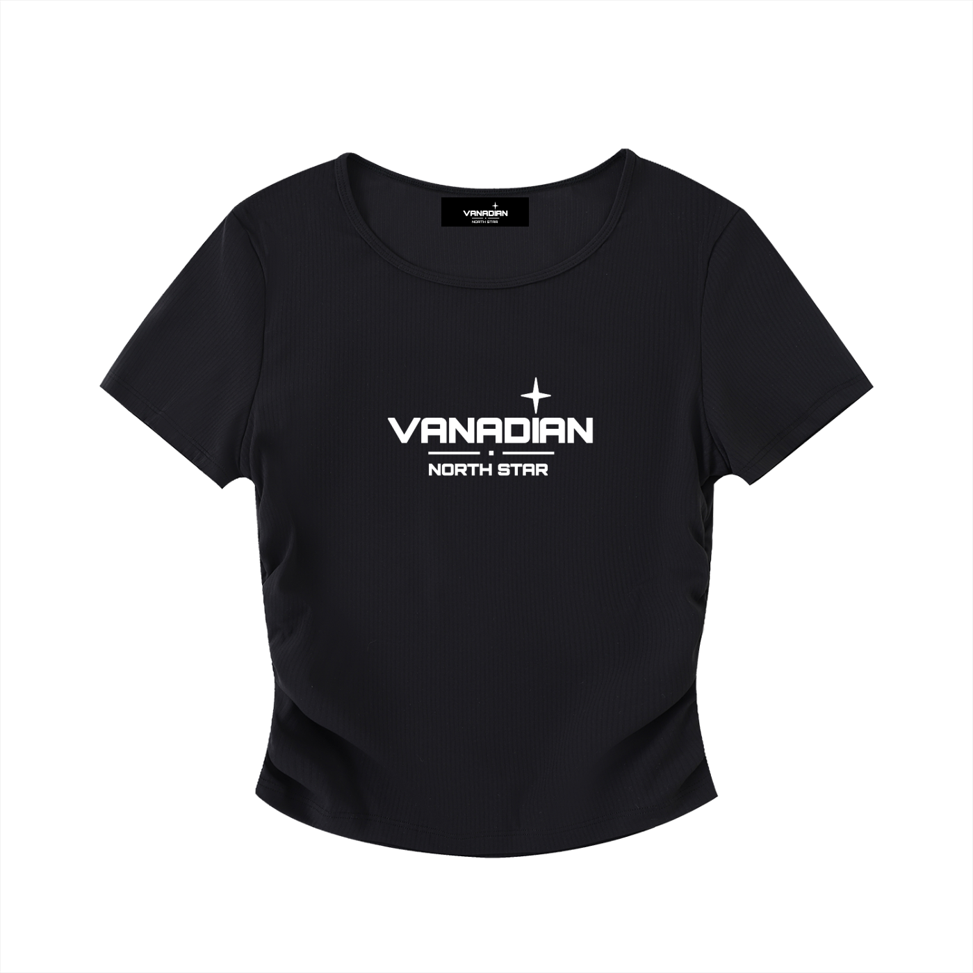 Vani Bodycon Crop Top