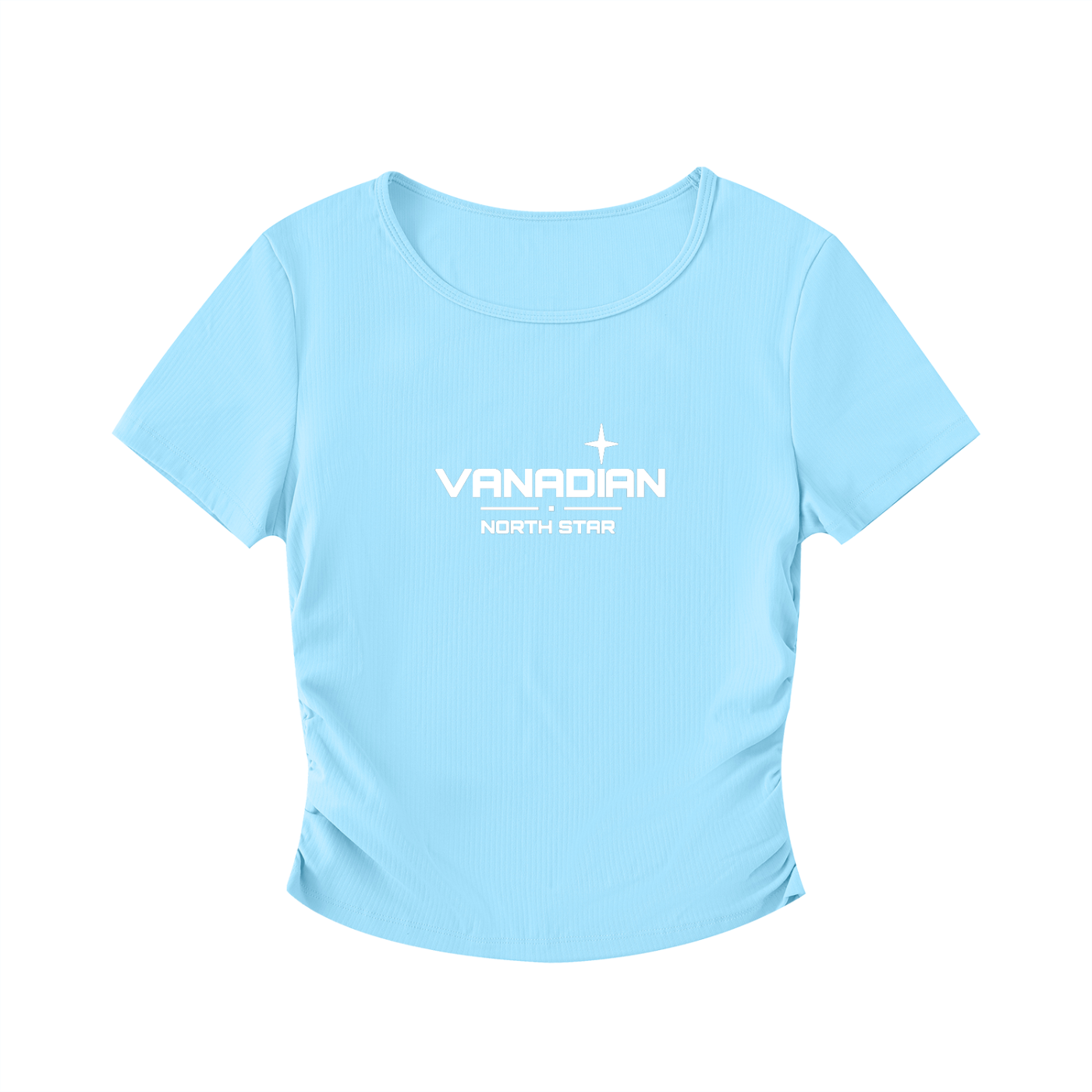 Vani Bodycon Crop Top